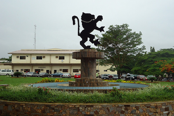 Fountain Lion