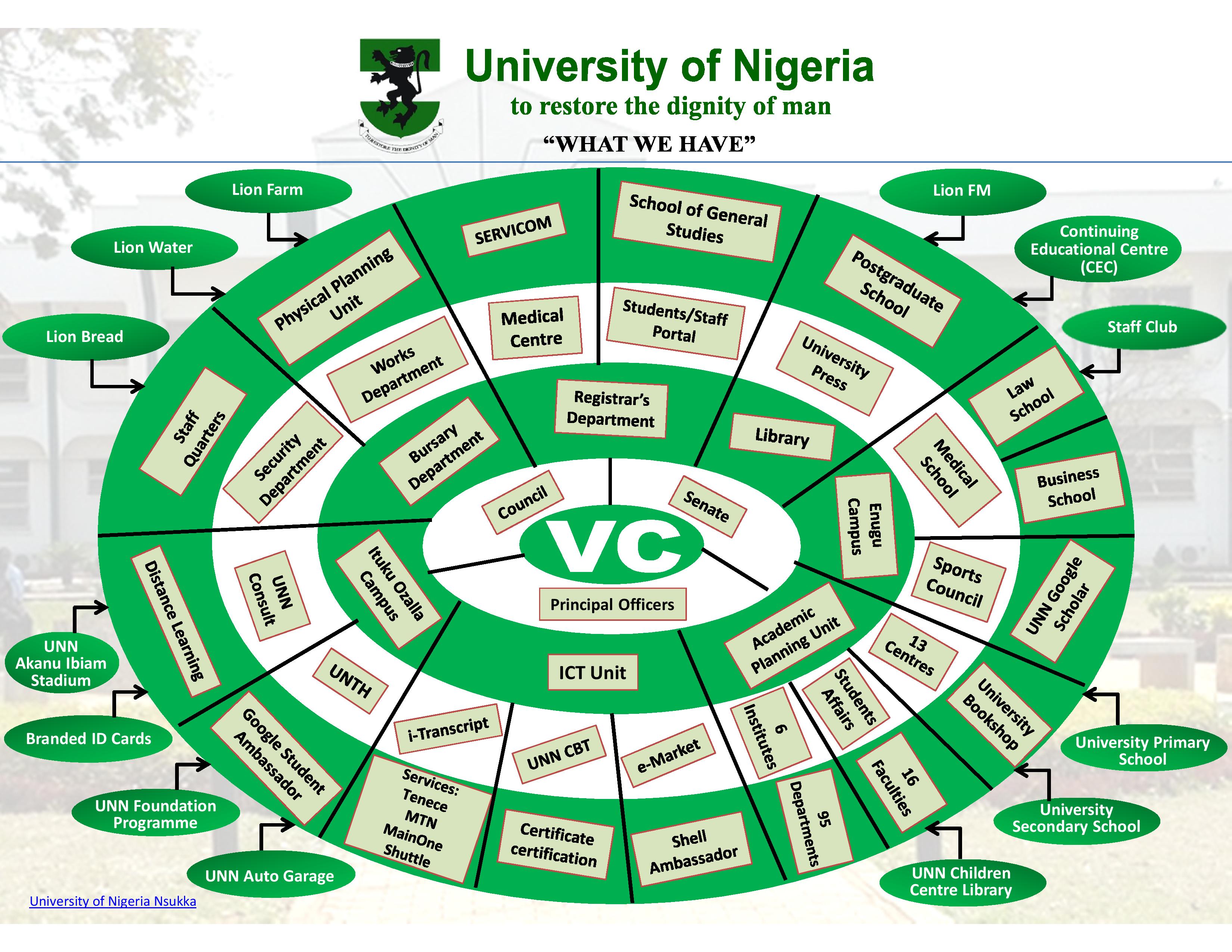 Read more about the article UNN at A Glance