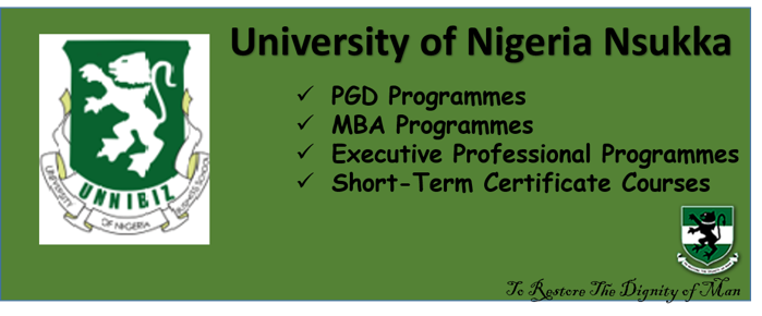 Read more about the article UNN Business School