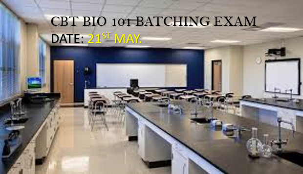 Read more about the article BIO 10I 2017/2018 Computer Based Exam