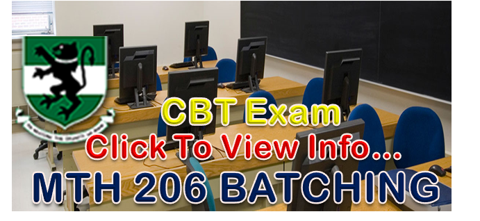 Read more about the article Maths 206 Exam Batching