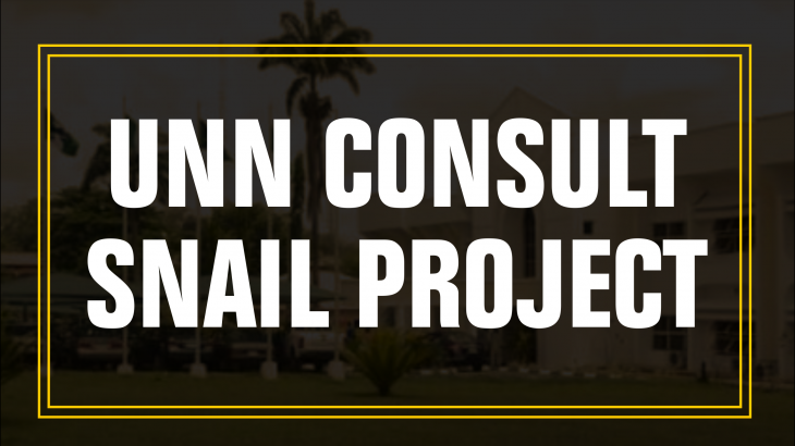 UNN CONSULT