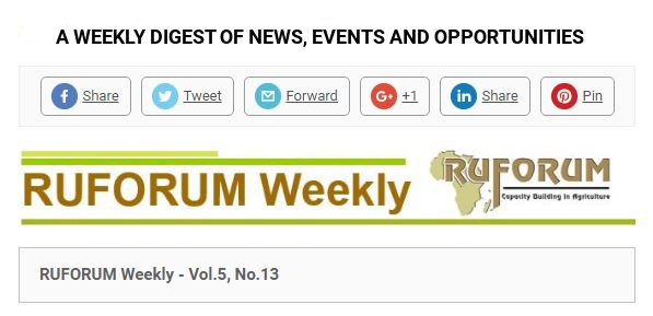 Read more about the article A weekly digest of News, Events and Opportunities