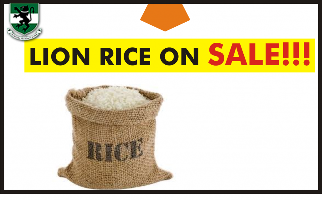 Lion Rice: A 100% local rice of the long-grain sparkling white family and very tasty
