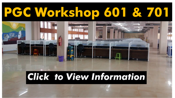 PGC 601 2019