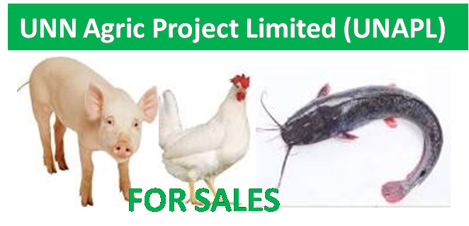 Read more about the article UNN Agric Project Limited (UNAPL)