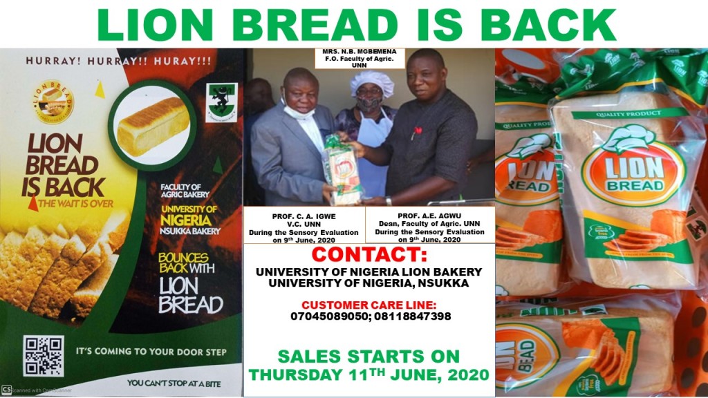 Lion Bread is Back