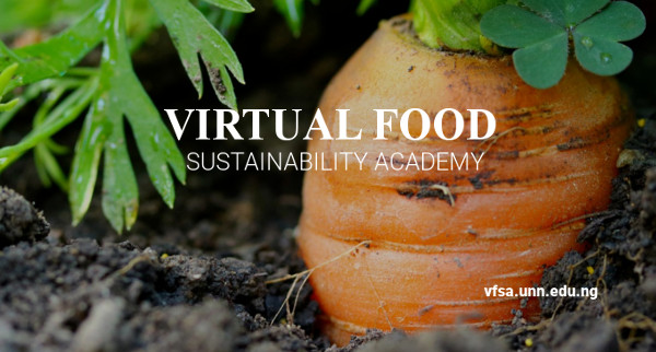 Read more about the article Virtual Food Sustainability Academy