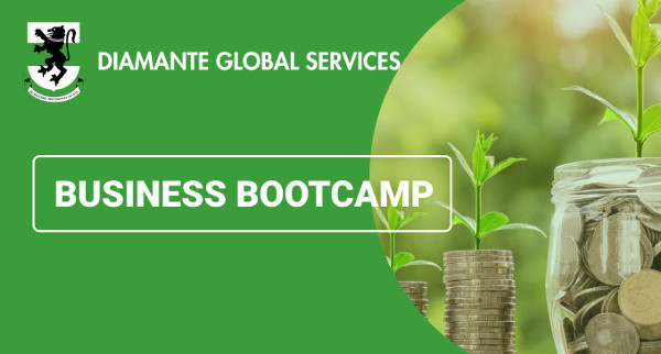 Read more about the article UNN-Diamante Global Services: Business Bootcamp