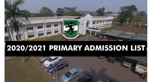 Read more about the article BREAKING NEWS: 2020/2021 Primary Admission