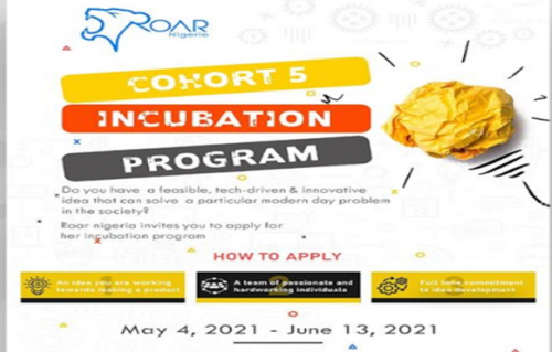 Read more about the article Cohort 5 Incubation Program