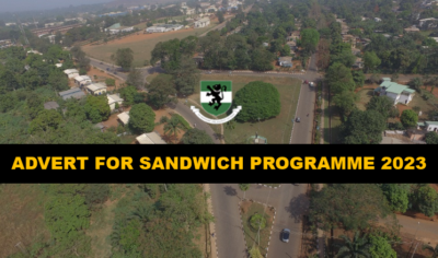 Read more about the article Advert for Sandwich Programme 2023