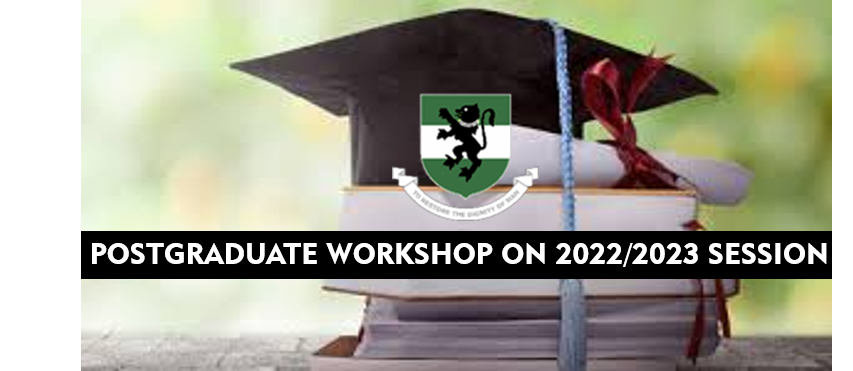 Postgraduate Workshop