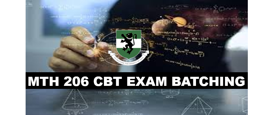 Batching for MTH 206 Continue Assessment