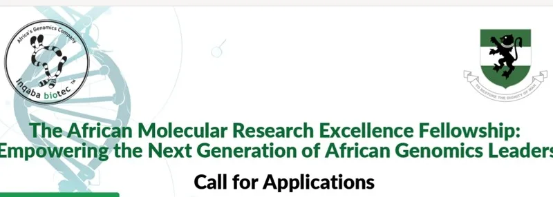 African Molecular Research Excellence Fellowship