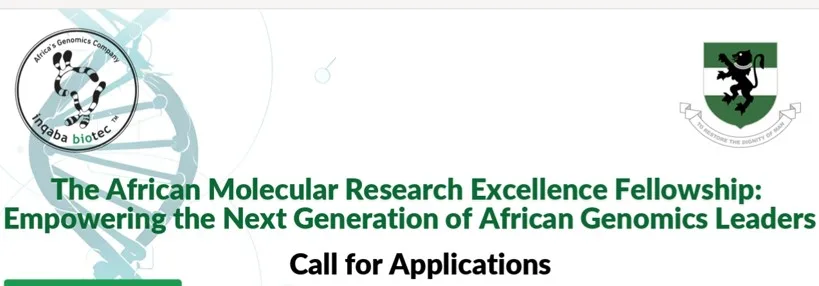 African Molecular Research Excellence Fellowship